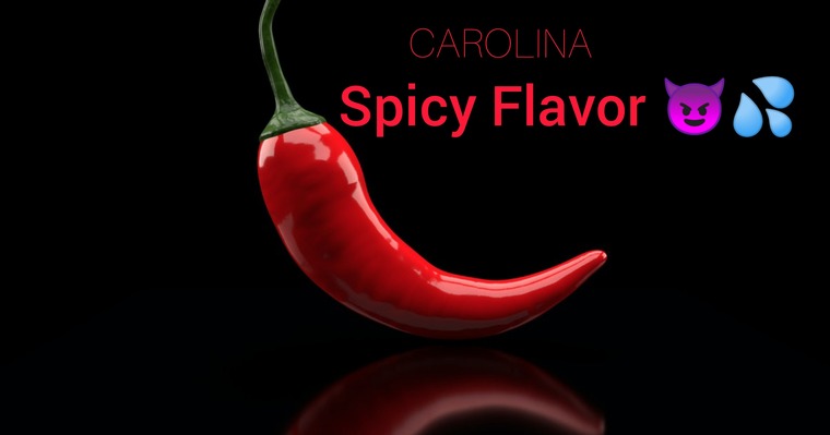 Oceancarolina banner image