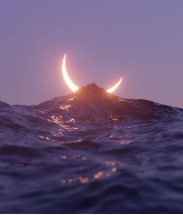 Ocean ✨ banner image
