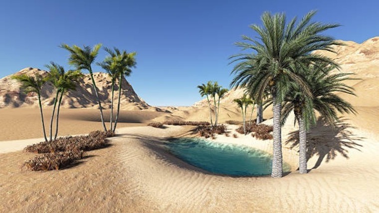 Odalisca. cover image