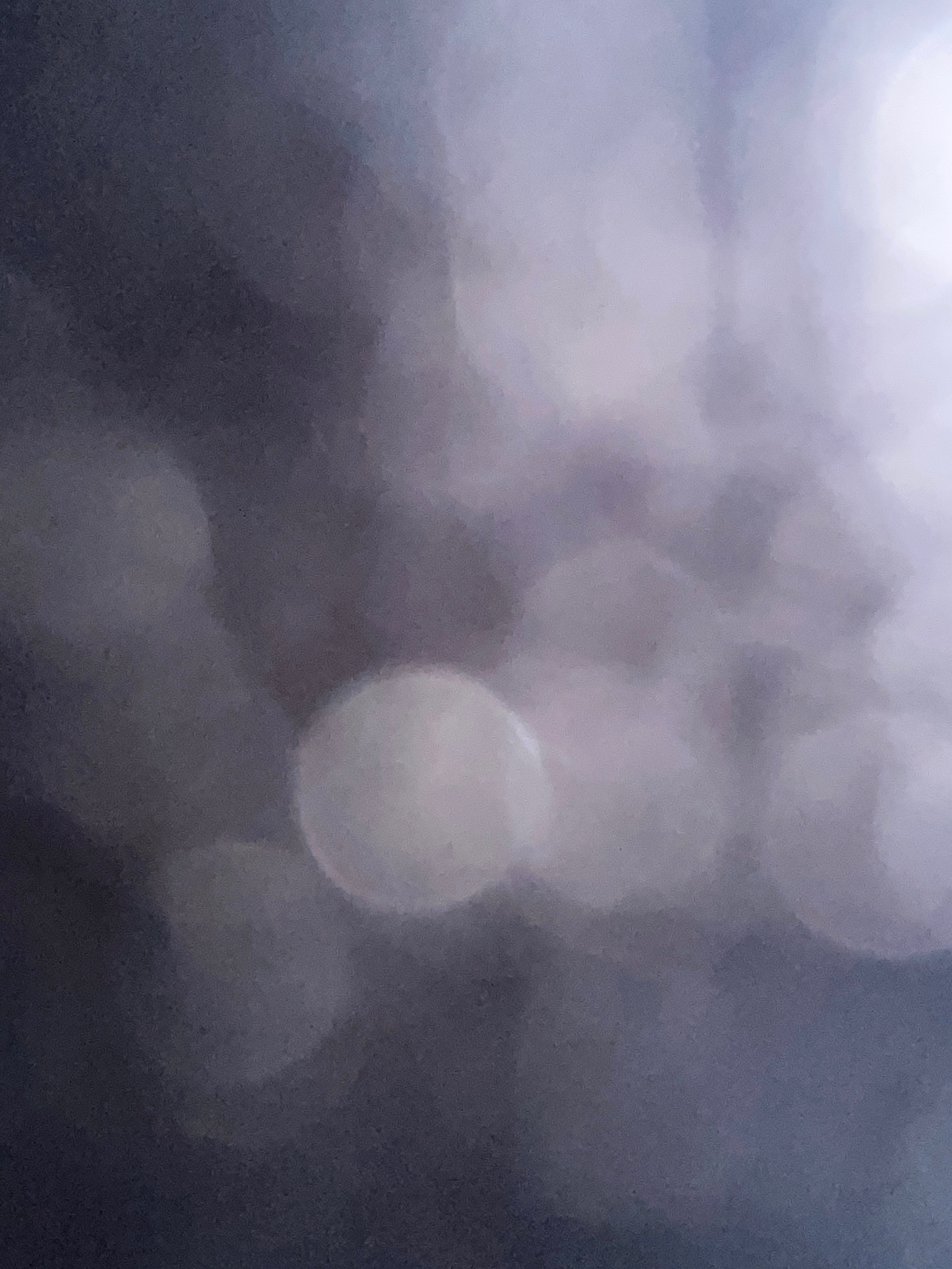 Albertelcurioso banner image