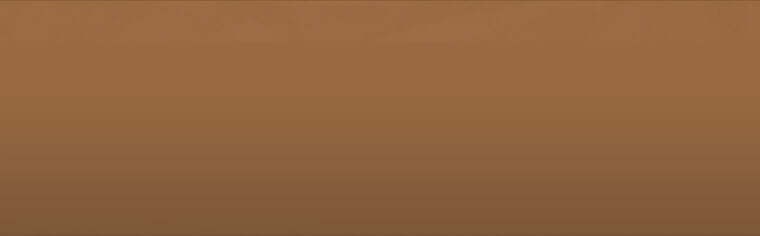 Bruuh cover image