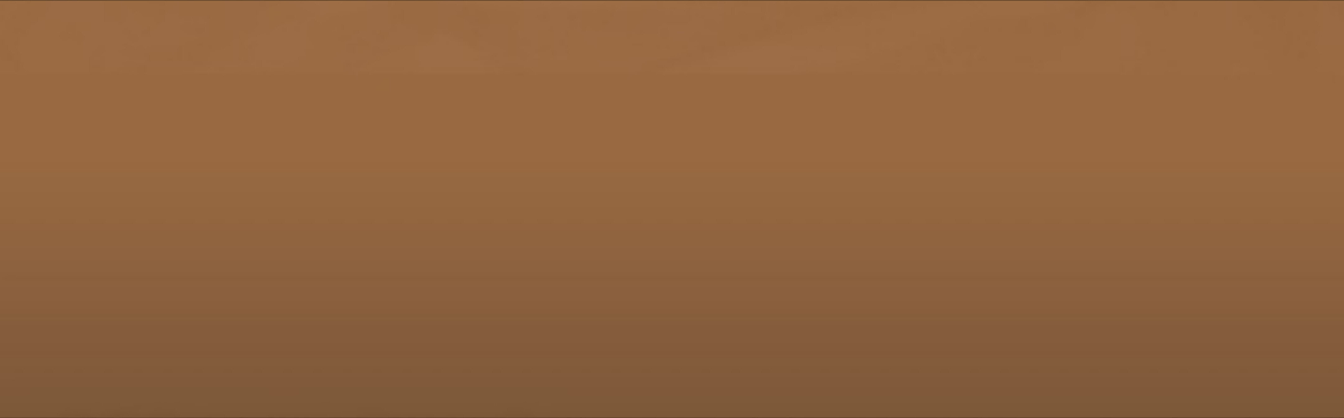 Bruuh banner image