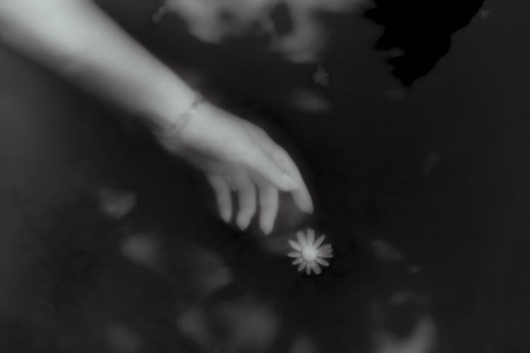 Cyprine banner image