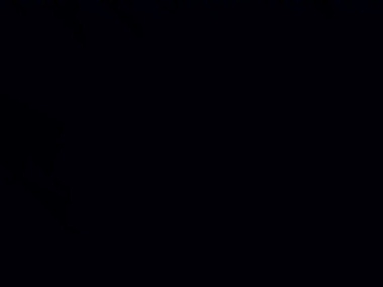 officerlongschlong banner image