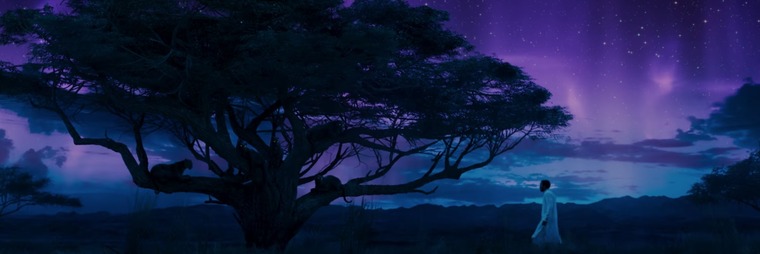 Beau cover image