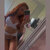 Officialmissmay FREE COCK RATE avatar