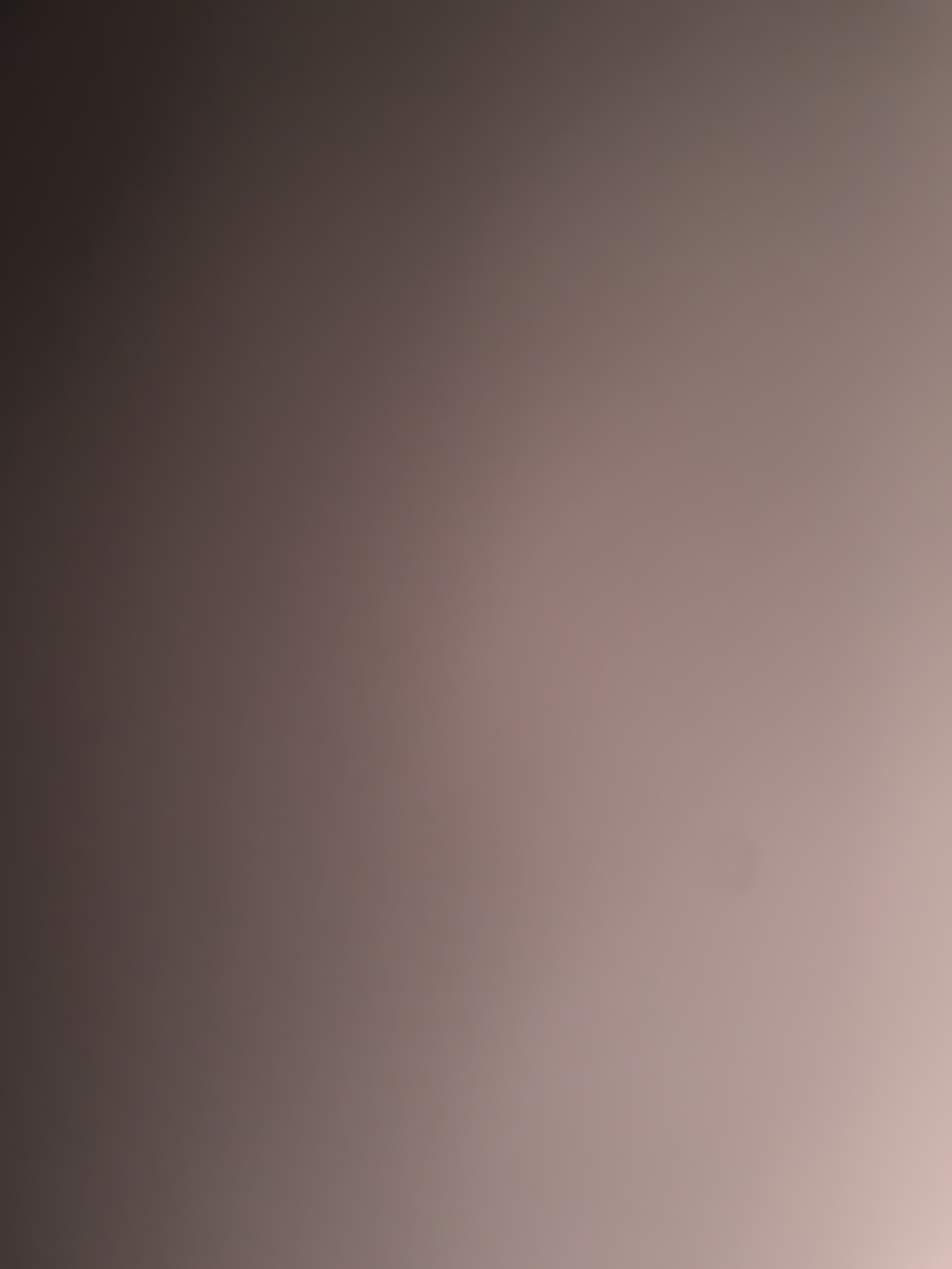 Morgan Stone banner image