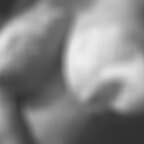 OFPris avatar