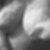 OFPris avatar
