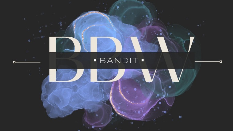 BBW BANDIT cover image