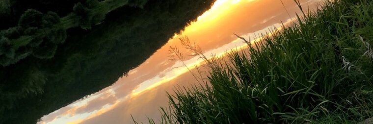 Tim Barbaresku banner image