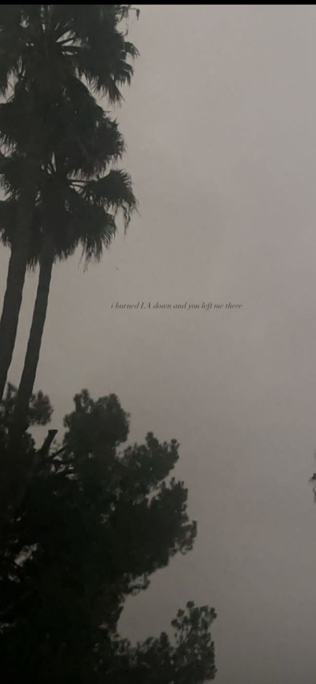 u211420426 banner image