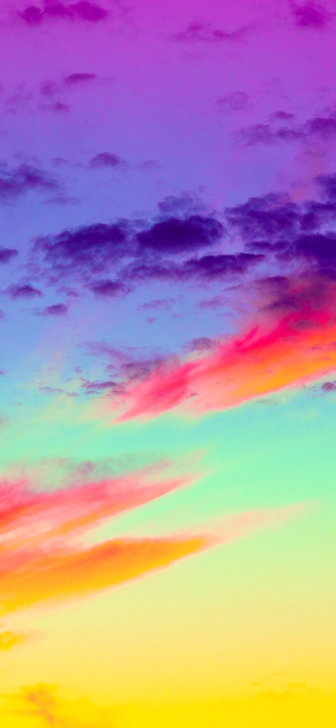 Violet Jennie banner image