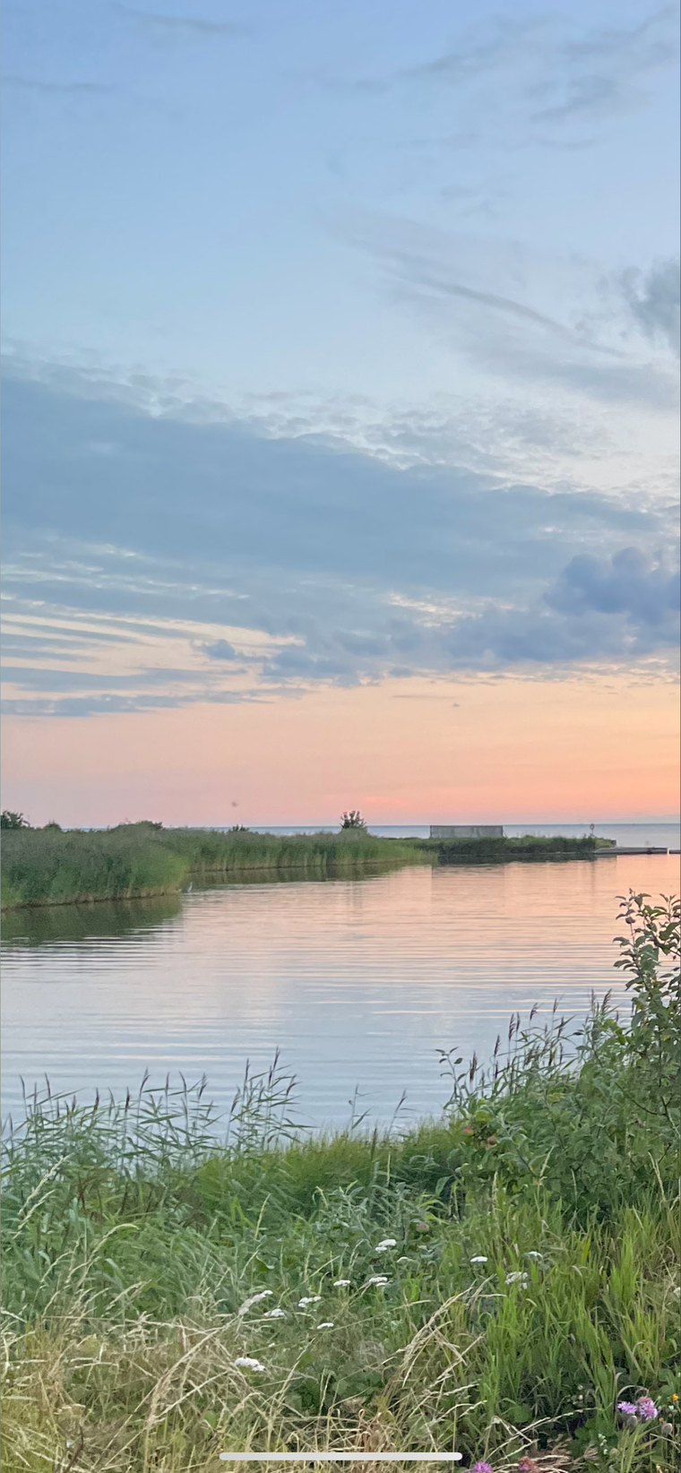 Olivia🇸🇪 cover image