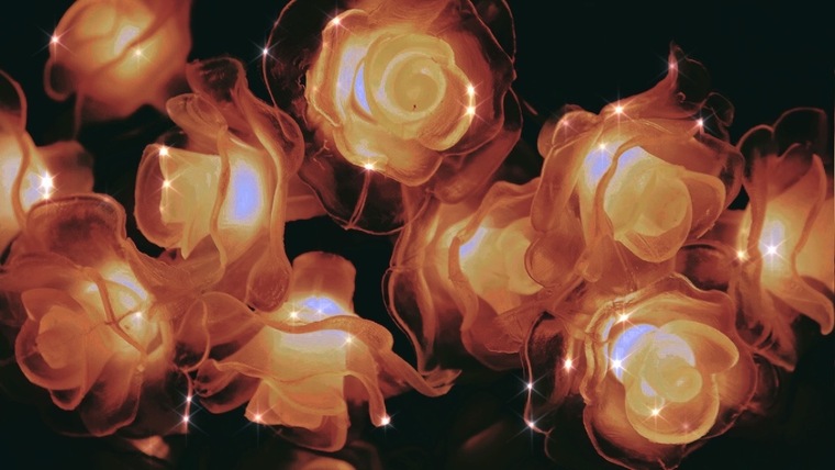 OliveNight banner image