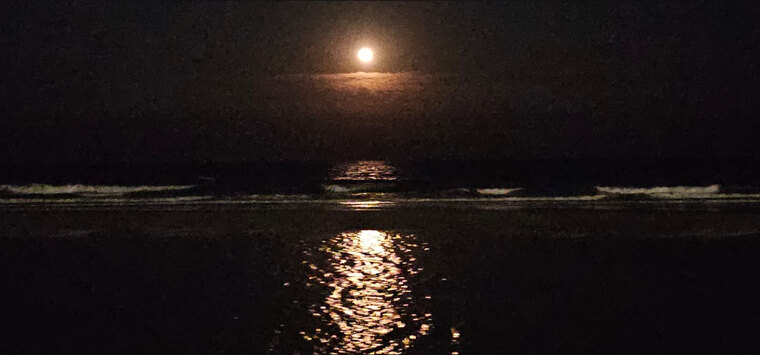 Olivia cover image