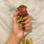 Olivia's hands avatar