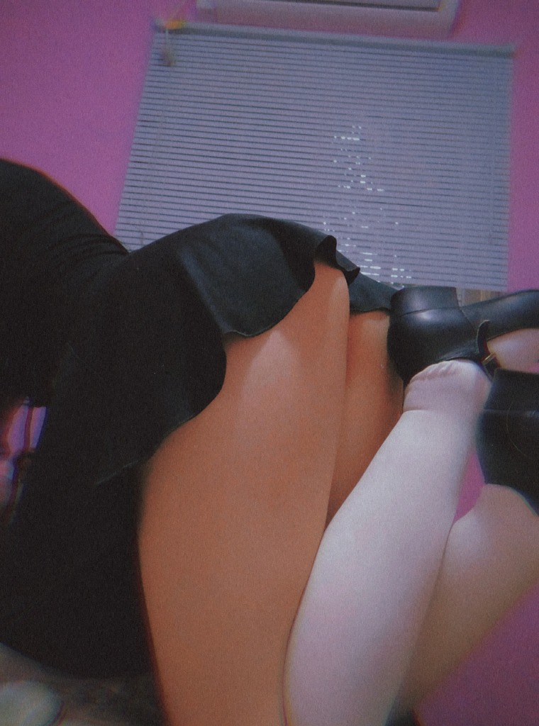 Ollicat banner image