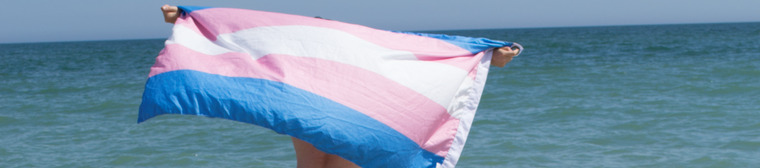 Ollie banner image