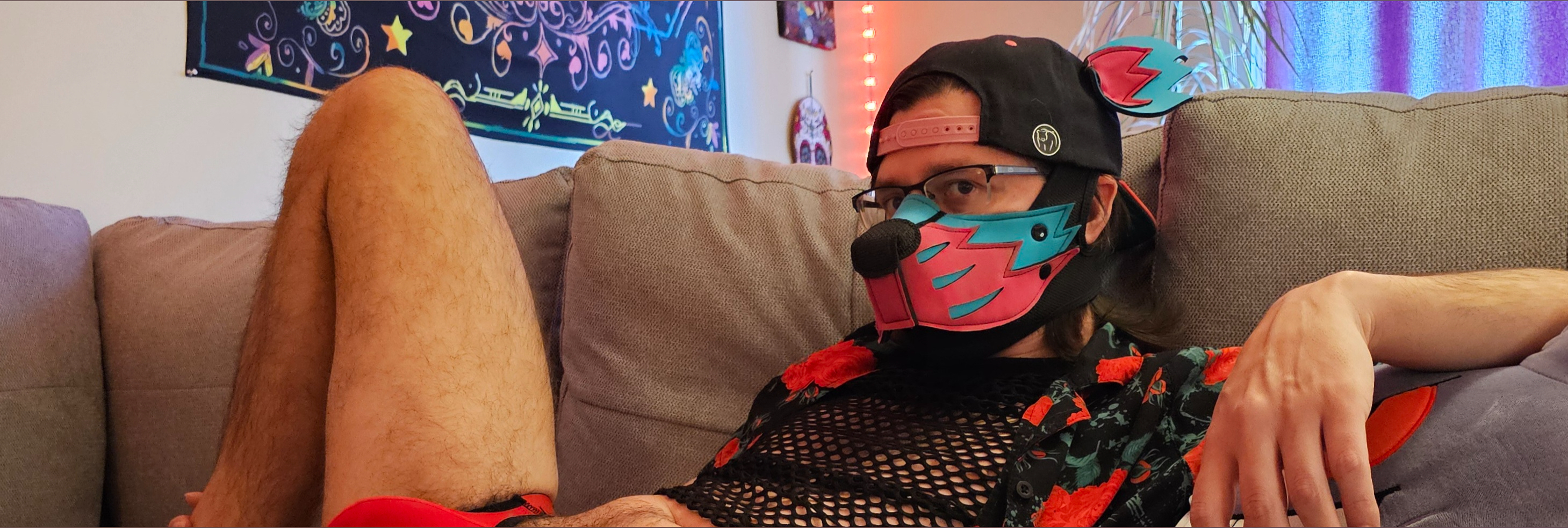 ✨️ Olly the Pup ✨️ banner image