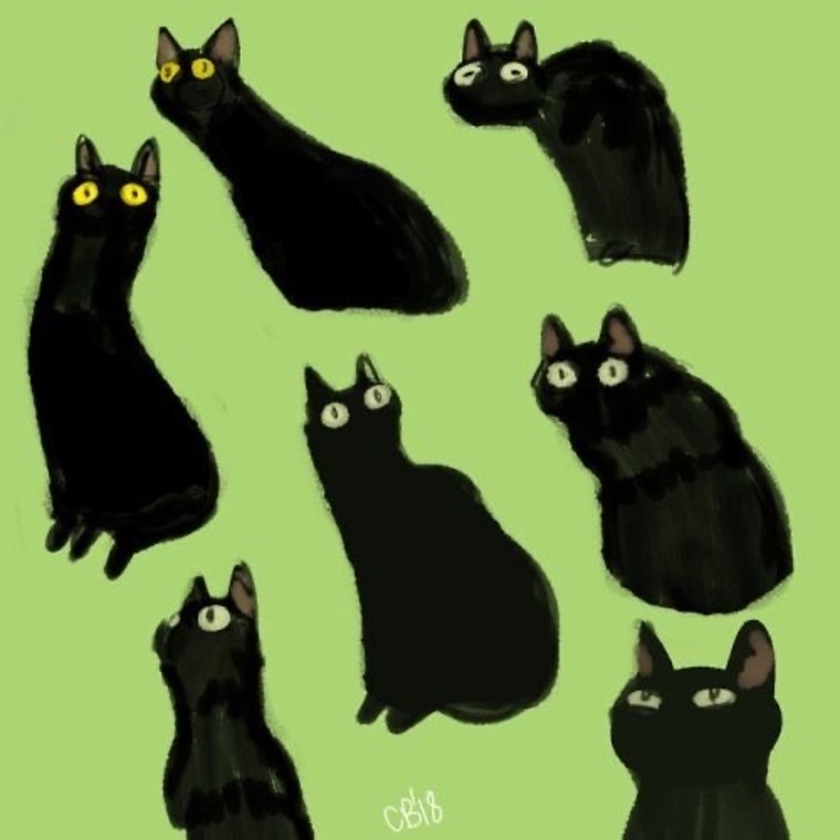 Olive cover image