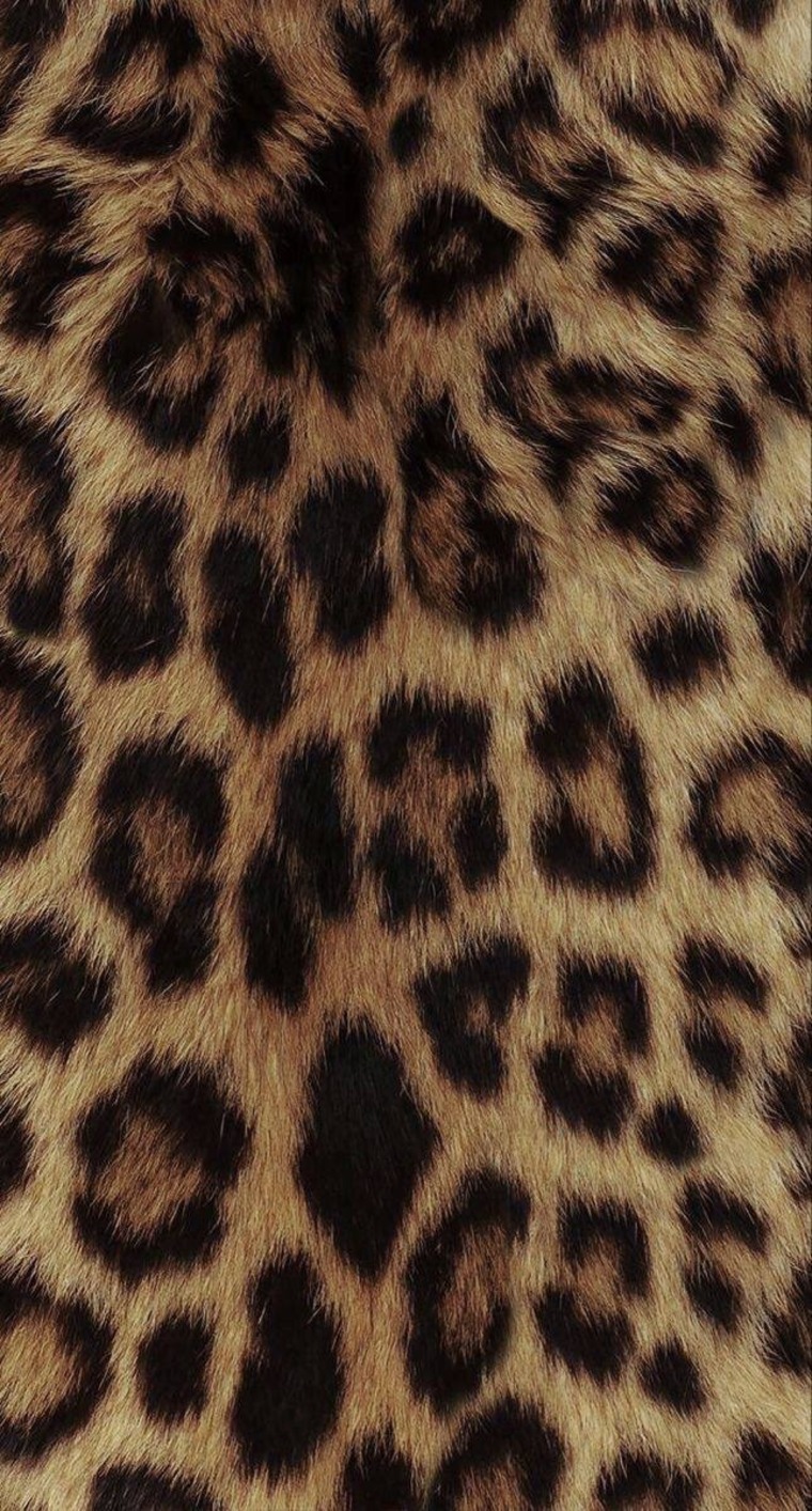Olya Koss🐼 cover image