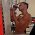 R. Omar avatar