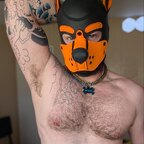 Omega Pup Smash avatar