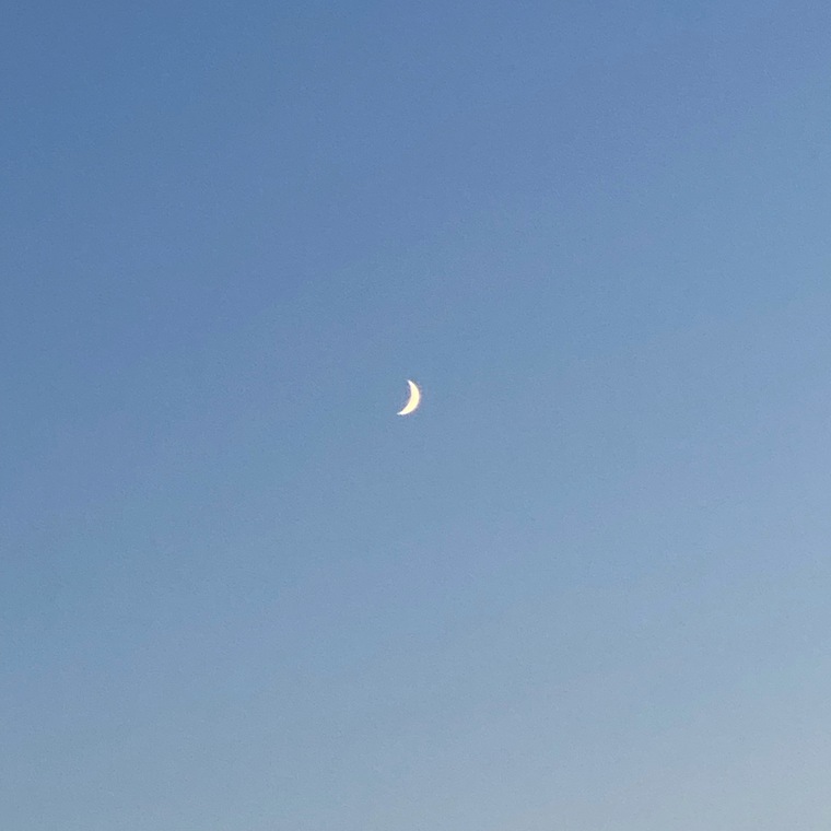 Σοφία cover image