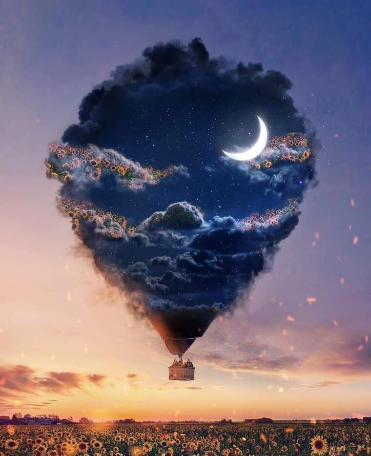 Bree cover image