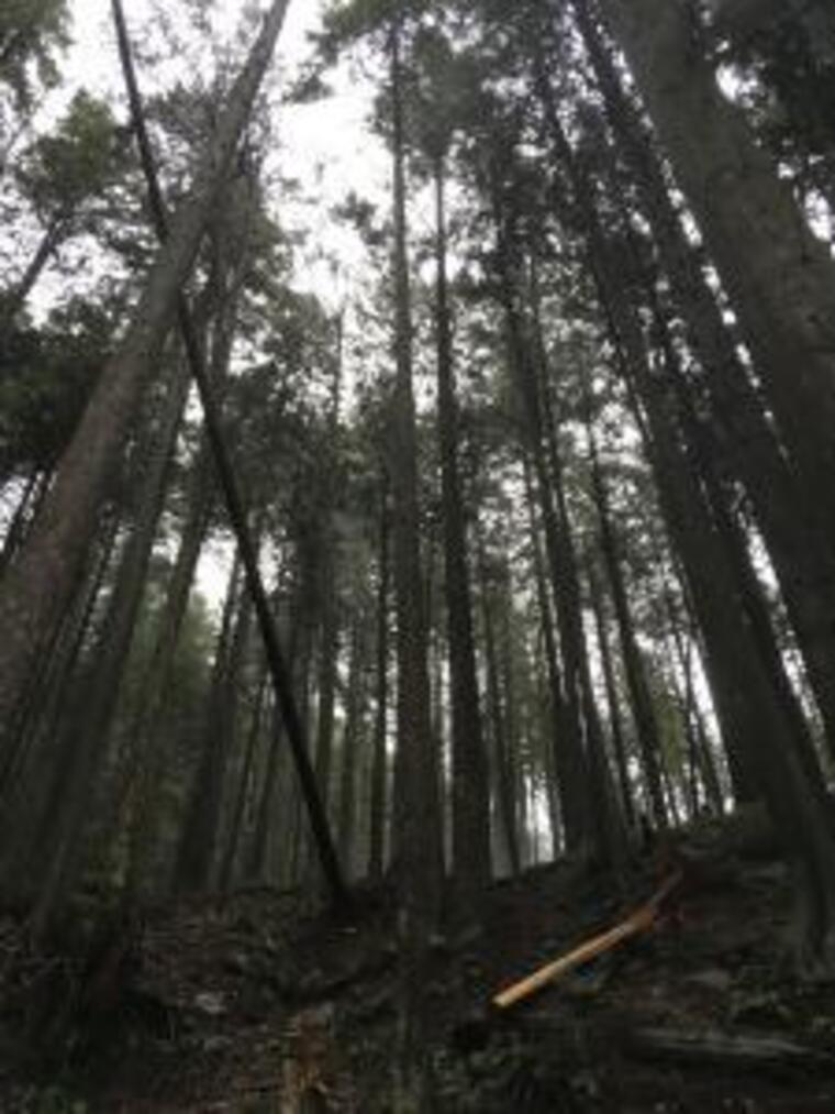 Jake cover image
