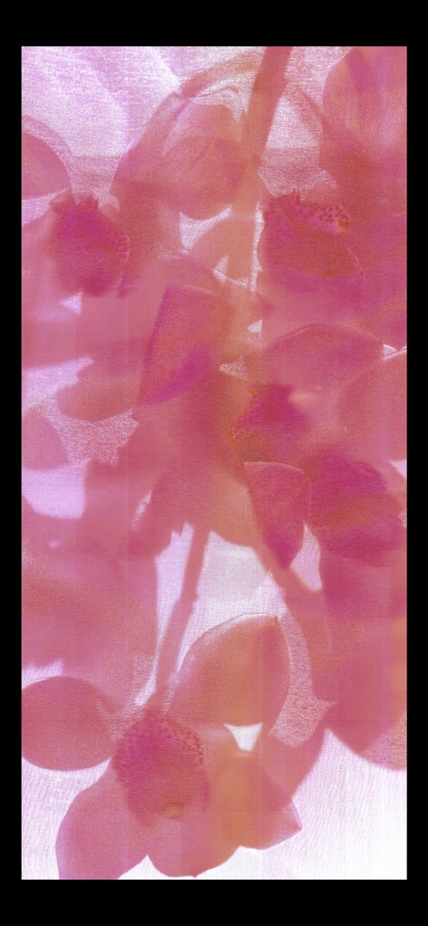 Liv cover image