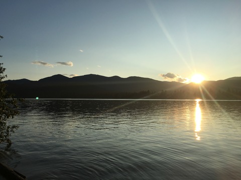 Tay cover image
