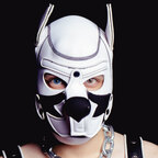 Onix Pupper 🐾🐺 avatar