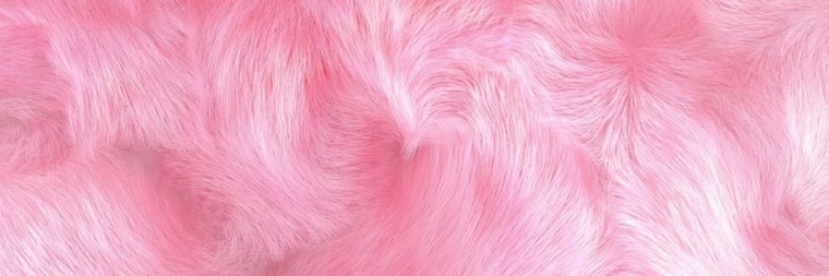OnlyBunnies 🐰 cover image