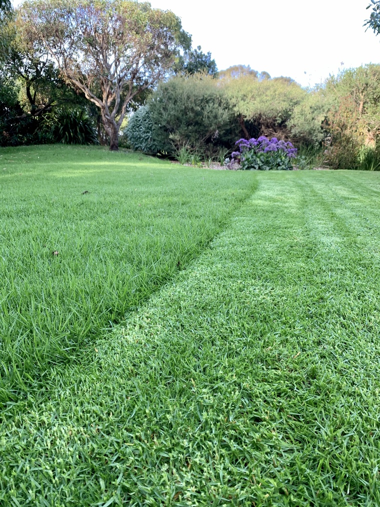 Only Lawns banner image