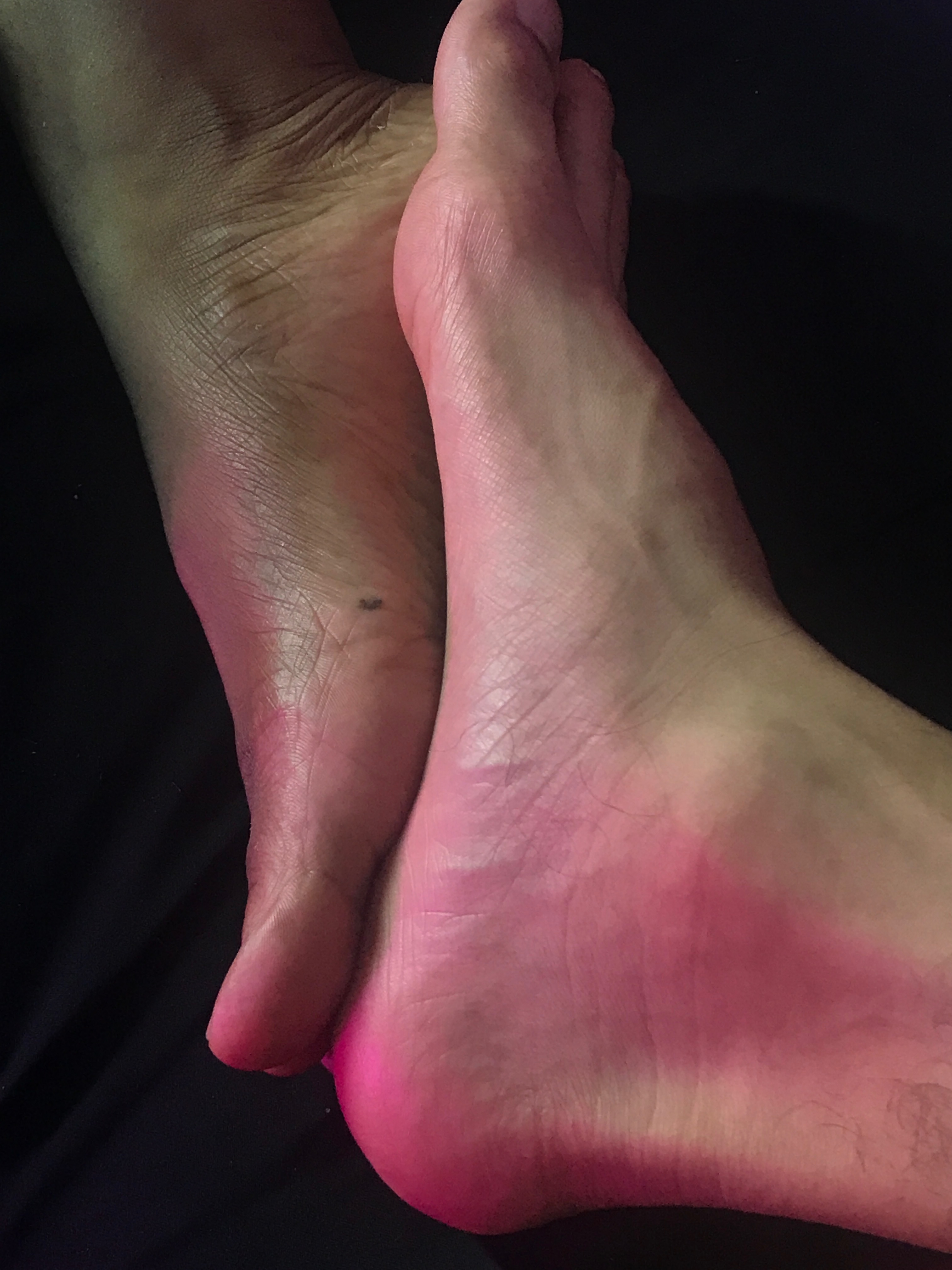 only patitas banner image