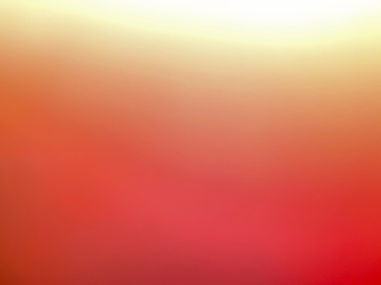 Ashley banner image