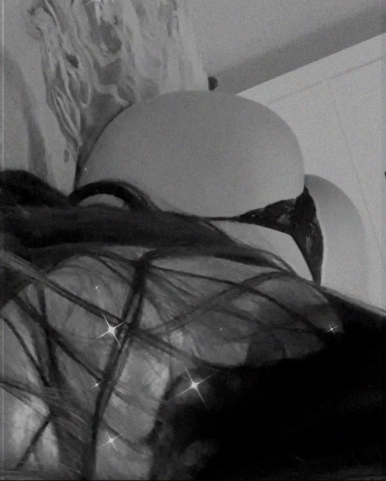 🍑 cover image