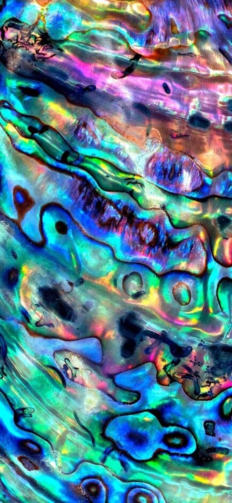 L🍭 cover image