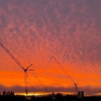Only Cranes 🏗️ avatar