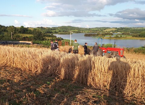 OnlyFarms cover image
