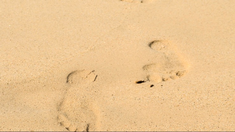 OnlyFeet banner image