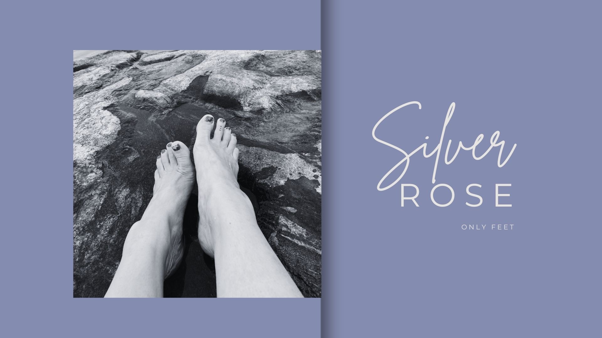 SilverRose banner image