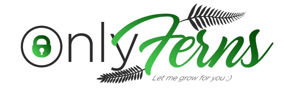 OnlyFerns banner image
