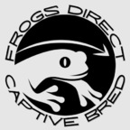 Onlyfrogs avatar