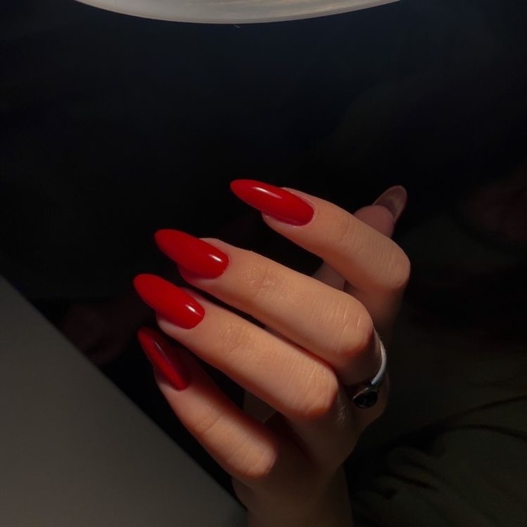 Alex cover image