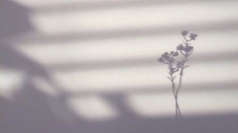 Nathalie C cover image