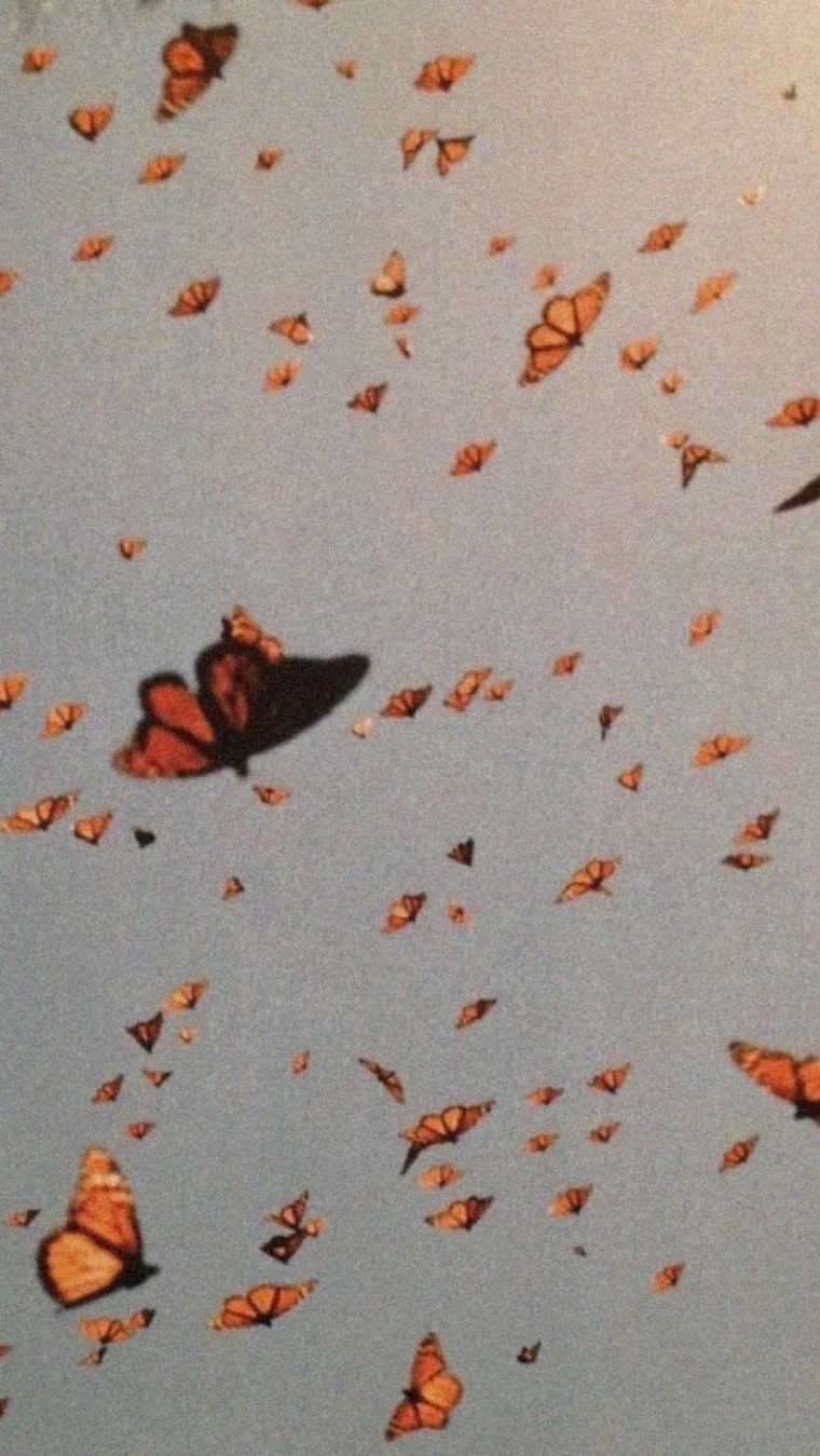 M I K E cover image