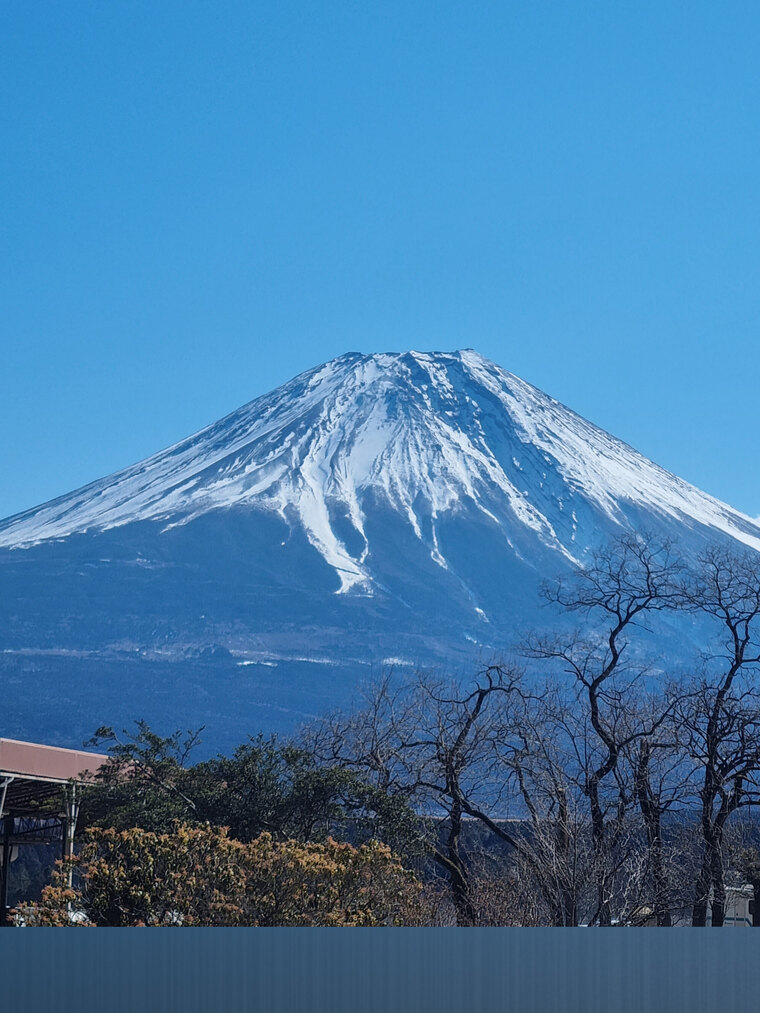 オンリパンツ cover image